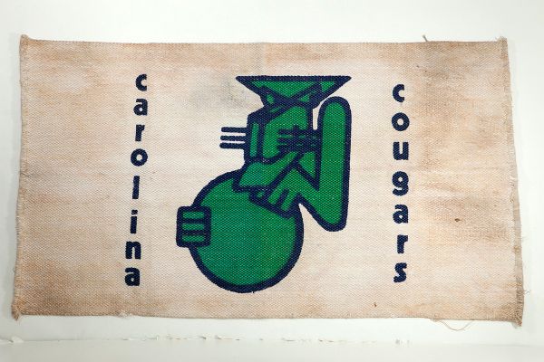 1970S CAROLINA COUGARS HAND WOVEN ABA RUG
