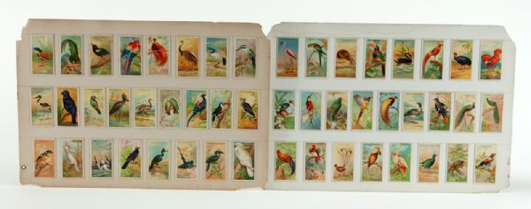 1889 N5 ALLEN & GINTER BIRDS OF THE TROPICS COMPLETE SET OF 50