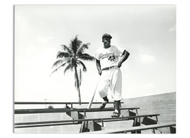 C. 1950s Jackie Robinson "Dodgertown Spring Training Bleacher Pose" Original Photo by Barney Stein – PSA/DNA Type II, Stein Family Collection